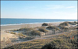 Photo of the beach at Wild Dunes, Isle of Palms, SC