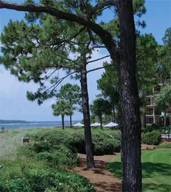 Beachside Tennis Villas, Hilton Head Island, SC photo taken outdoors.